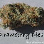 Strawberry Diesel 